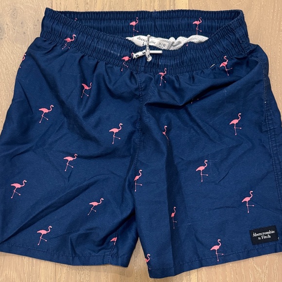 Abercrombie Kids Blue Swim Trunks with Pink Flamingos - Picture 1 of 4